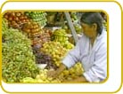 fruit vender